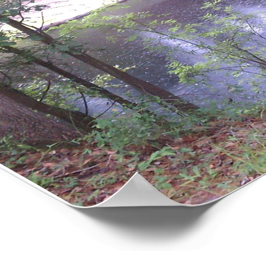 Helemaal naar beneden op een Suwannee River White  Poster (Hoek)