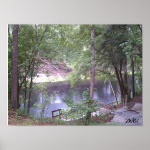Helemaal naar beneden op een Suwannee River White  Poster