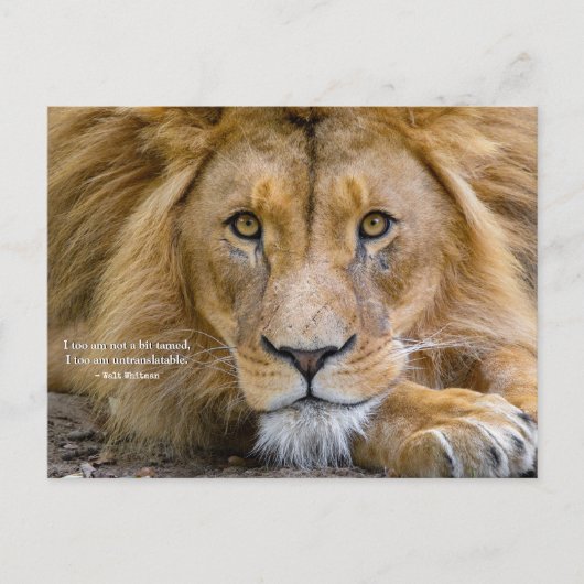 Helemaal niet getemd - Motiverende quote + jouw fo Briefkaart (Voorkant)