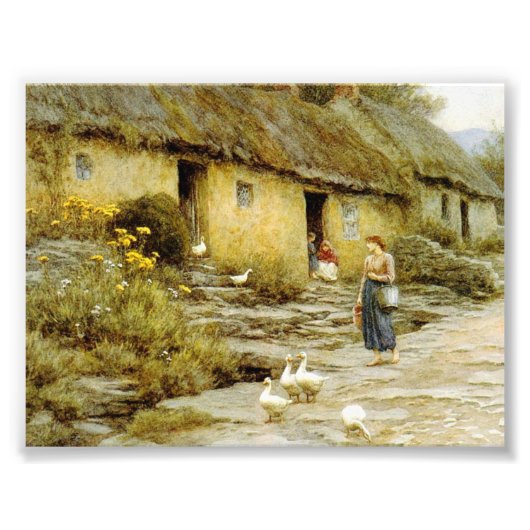  Helen Allingham Irish Cottage Foto Afdruk (Voorkant)