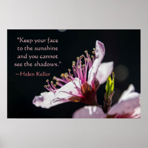 Helen Keller Citaat Peach Blossom in Sunshine Poster