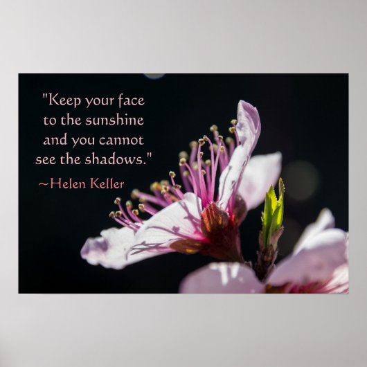 Helen Keller Citaat Peach Blossom in Sunshine Poster (Voorkant)