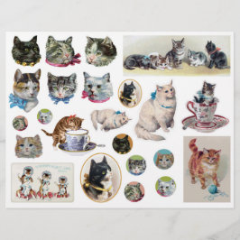 Helena Maguire en anderen Vintage kat zorgvuldige 