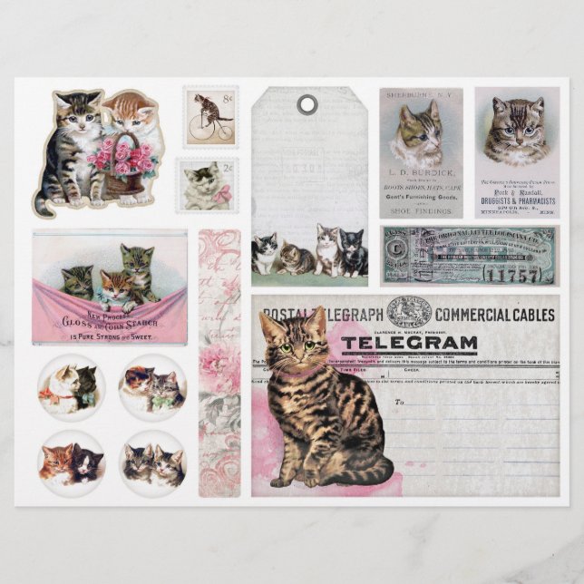 Helena Maguire Vintage Cat, Kitten Fussy Cuts (Voorkant)