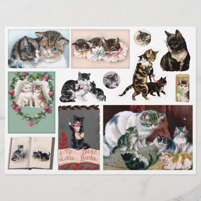 Helena Maguire Vintage Kat Kunst Ephemera Fussy Cu (Voorkant)
