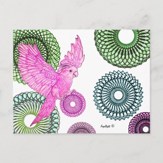 helende parkiet briefkaart (Voorkant)