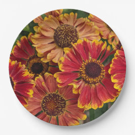 Helenium Autumnale Blooms Floral Papieren Bordje