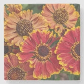 Helenium Autumnale Blooms Floral Stenen Onderzetter (Voorkant)