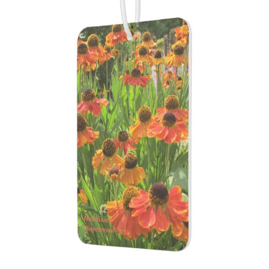 Helenium "Sneezeweed" Luchtverfrisser (Links)