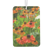 Helenium "Sneezeweed" Luchtverfrisser (Achterkant)