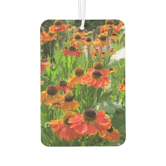 Helenium "Sneezeweed" Luchtverfrisser (Achterkant)