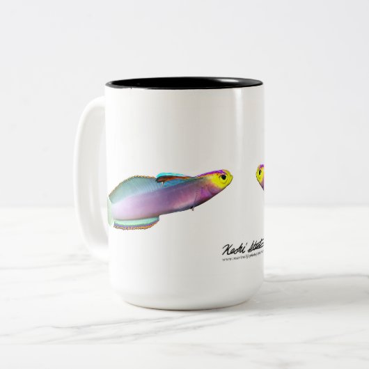 Helfrich's dartfish, Nemateleotris helfrichi Tweekleurige Koffiemok (Voorkant links)