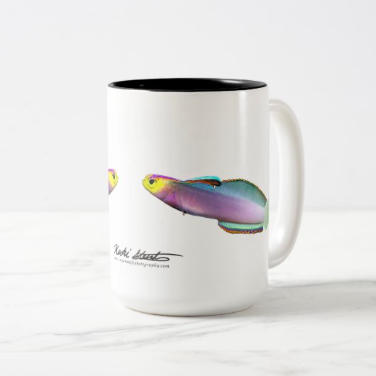 Helfrich's dartfish, Nemateleotris helfrichi Tweekleurige Koffiemok (Voorkant rechts)