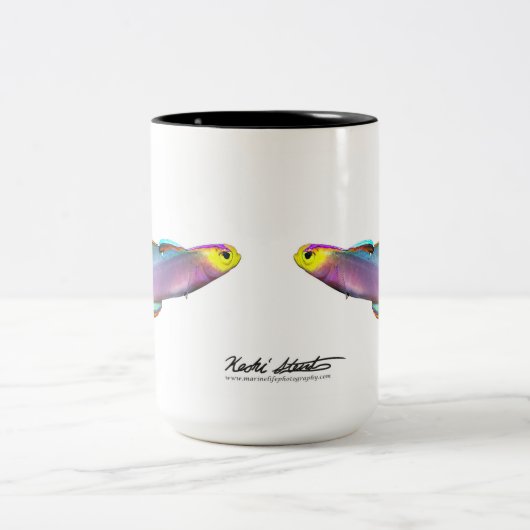 Helfrich's dartfish, Nemateleotris helfrichi Tweekleurige Koffiemok (Center)