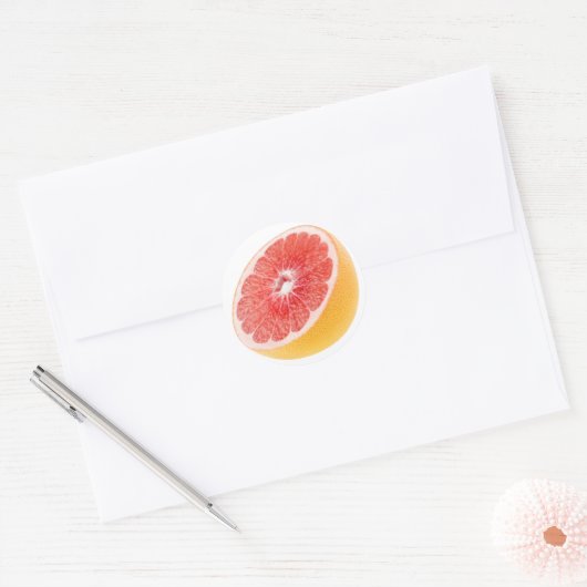 Helft van grapefruit ronde sticker (Envelop)