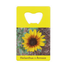 Helianthus Annuus flesopener