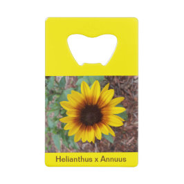 Helianthus Annuus flesopener Creditkaart Flessenopener