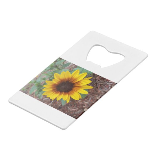 Helianthus Annuus flesopener Creditkaart Flessenopener (Achterkant Gekanteld)