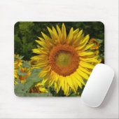 Helianthus annuus muismat (Met muis)