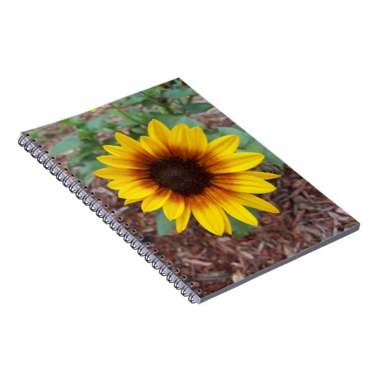 Helianthus Annuus over een Notitieboek (Rechterzijde)