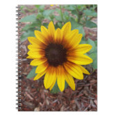 Helianthus Annuus over een Notitieboek (Voorkant)