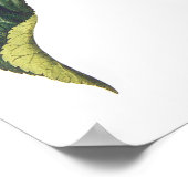 Helianthus annuus poster (Hoek)