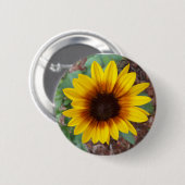 Helianthus Annuus Ronde Button 5,7 Cm (Voorkant /achterkant)