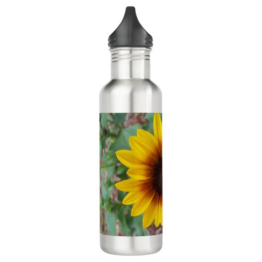 Helianthus annuus waterfles  (Links)