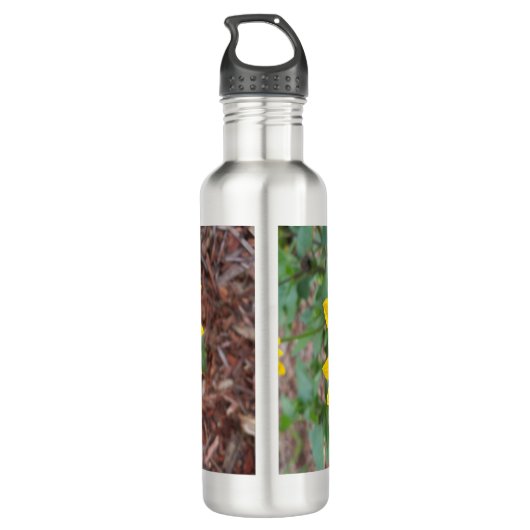 Helianthus annuus waterfles  (Achterkant)