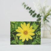 Helianthus 'Lemon Queen' Zonnebloem Briefkaart (Staand voorkant)