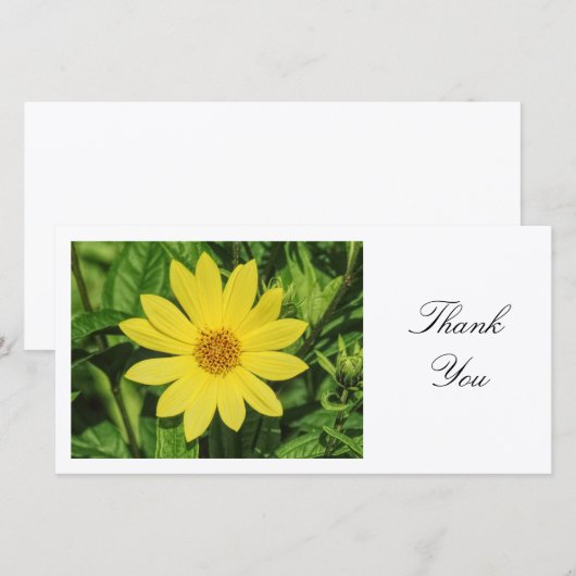 Helianthus 'Lemon Queen' Zonnebloem - Dank u Bedankkaart (Voorkant / Achterkant)