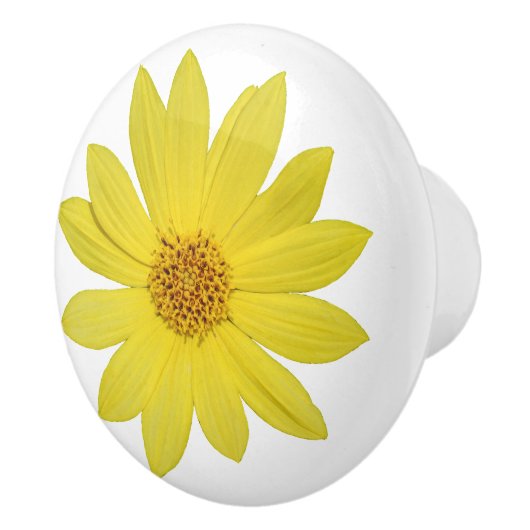 Helianthus 'Lemon Queen' Zonnebloem (geïsoleerd) Keramische Knop (Rechts)