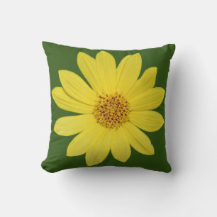 Helianthus 'Lemon Queen' Zonnebloem (geïsoleerd) Kussen