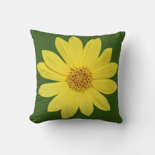 Helianthus 'Lemon Queen' Zonnebloem (geïsoleerd) Kussen (Voorkant)