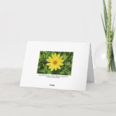 Helianthus 'Lemon Queen' Zonnebloem Kaart (Achterkant)