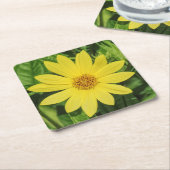 Helianthus 'Lemon Queen' Zonnebloem Kartonnen Onderzetters (Schuin)