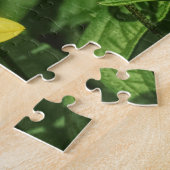 Helianthus 'Lemon Queen' Zonnebloem Legpuzzel (Zijkant)