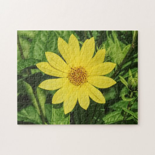 Helianthus 'Lemon Queen' Zonnebloem Legpuzzel (Horizontaal)