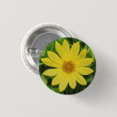 Helianthus 'Lemon Queen' Zonnebloem Ronde Button 3,2 Cm (Voorkant /achterkant)