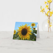 Helianthus (Sunflower) in Schotland (blanco) Kaart (Gele Bloem)
