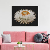 Helichrysum Flower Canvas Print (Insitu (Woonkamer))