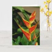 Heliconia, blanco kaart (Gele Bloem)