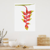 Heliconia Branch Poster (Keuken)