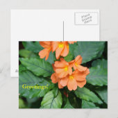 Heliconia Briefkaart (Voorkant / Achterkant)
