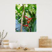 Heliconia en Vanilla Orchid Vine Poster (Keuken)