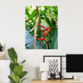 Heliconia en Vanilla Orchid Vine Poster (Thuiskantoor)