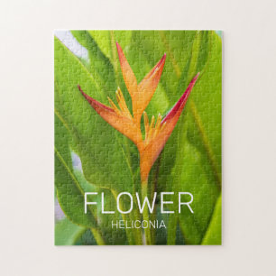 Heliconia Flowers Botanisch Plant Tuinontwerp Legpuzzel