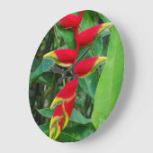 Heliconia Grote Klok (Hoek)