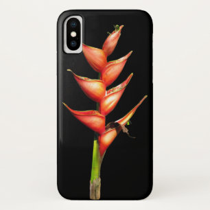 Heliconia iPhone Case