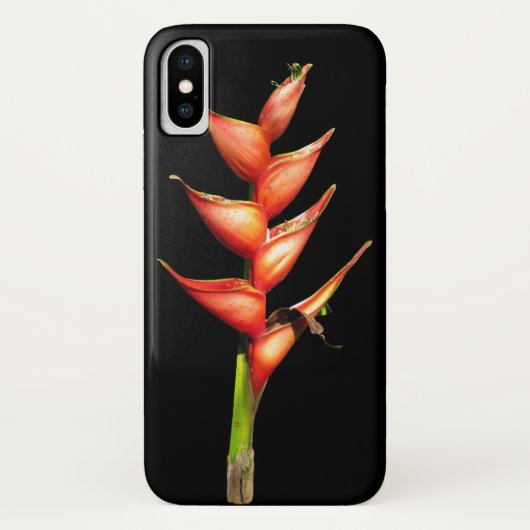 Heliconia iPhone Case (Achterkant)